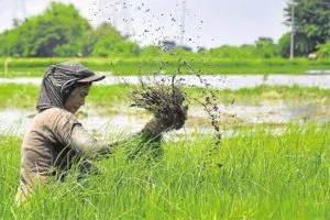 Sagip Saka Act signed into law by our President