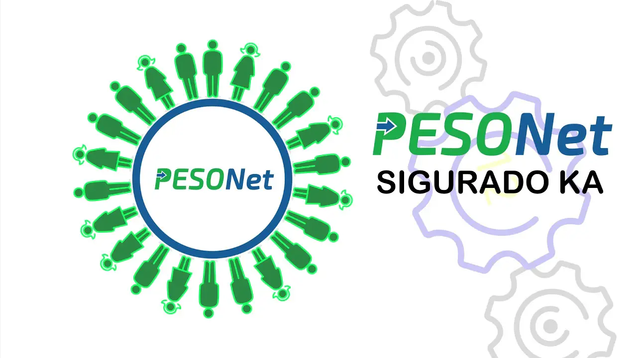 Paid tax online by using PESOnet!