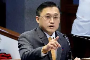 Bong-Go E-government