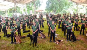 PDEA-10 Looking For K9 Handlers