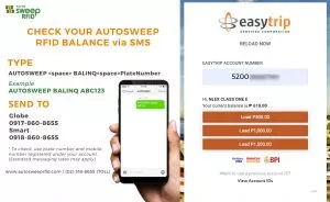 Check Easytrip Balance