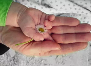 Additional Benefits for Solo Parents