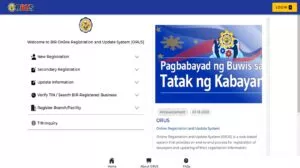 Screenshot from: BIR