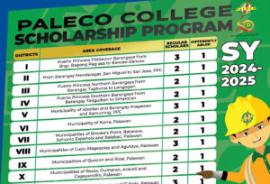 Paleco Scholarship Program