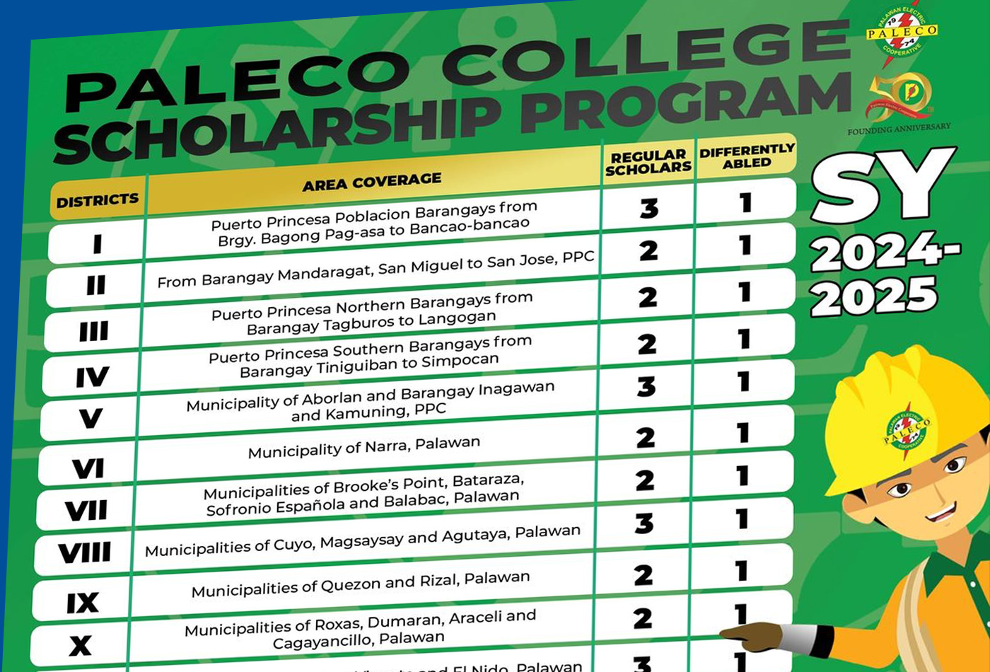 Paleco Scholarship Program